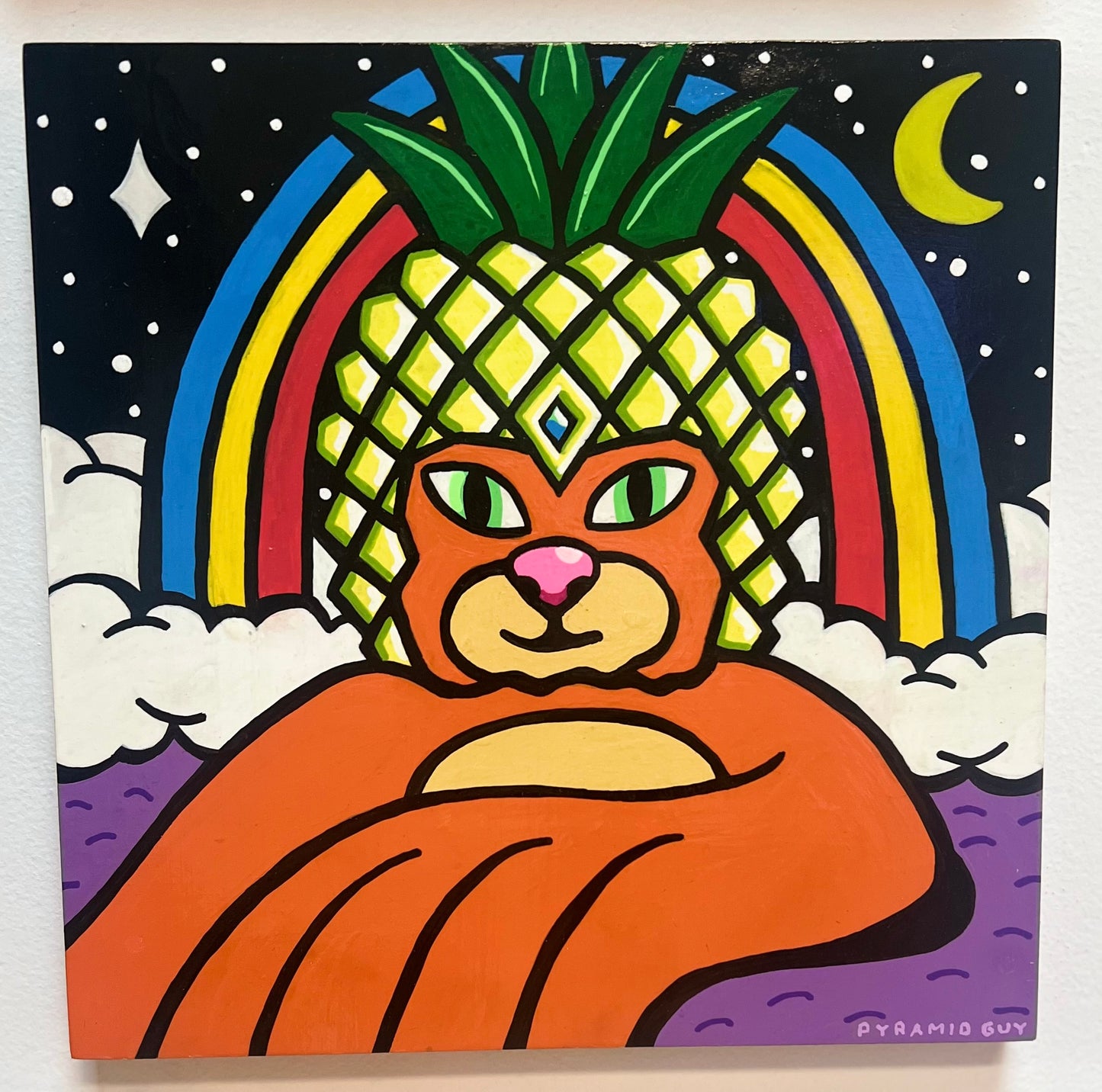 "Pineapple Kitty" by Pyramid Guy - 12x12
