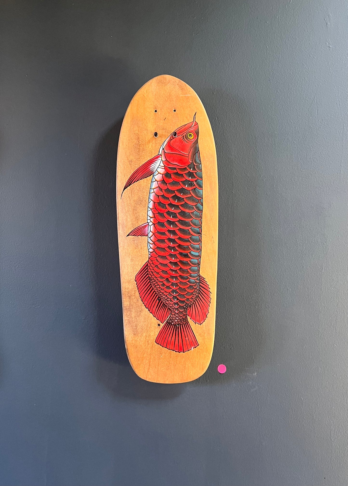 “Fish” - Zane - Skateboard